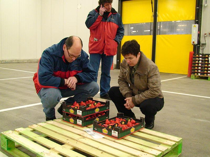 Elianny eerste veiling Fruitmasters Koningsplant john ard leon Vissers aardbeiplanten BV America (8).JPG